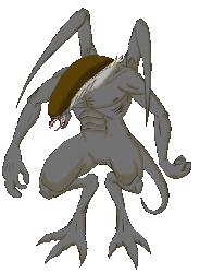 T-thrope